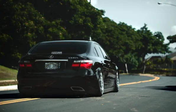 Lexus, black, LS460, rear, VIP