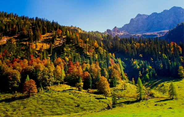 Картинка осень, небо, деревья, горы, природа, холмы, Австрия, Карвендель
