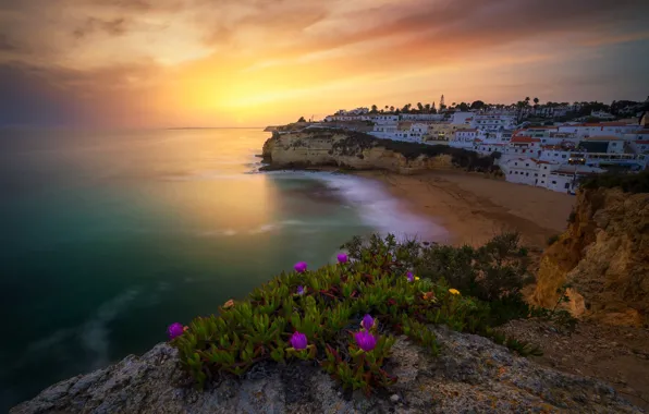 Картинка пляж, закат, цветы, скалы, побережье, здания, дома, Португалия