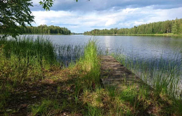 Картинка лето, озеро, Финляндия, Lapinlahti