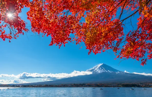 Картинка осень, небо, листья, colorful, Япония, Japan, red, клен