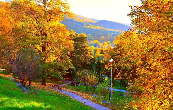 Картинка осень, деревья, горы, парк, Природа, colors, дорожка, листопад