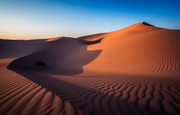 Пустыня, Abu Dhabi, ОАЭ