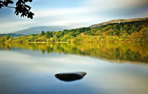 Картинка лес, горы, природа, река