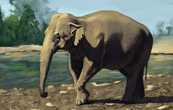 Картинка зелень, река, животное, слон, солнечно, indian elephant