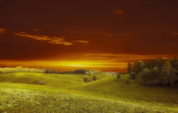 Картинка поле, пейзаж, закат