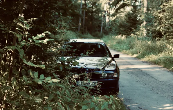 Картинка BMW, Wood, e39, Trees, 5er