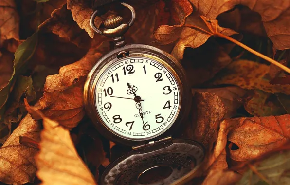 Картинка листья, макро, природа, время, часы