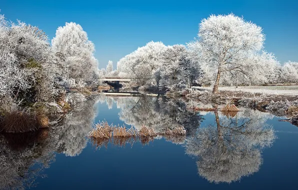 Картинка зима, иней, деревья, природа, озеро, пруд, парк, отражение