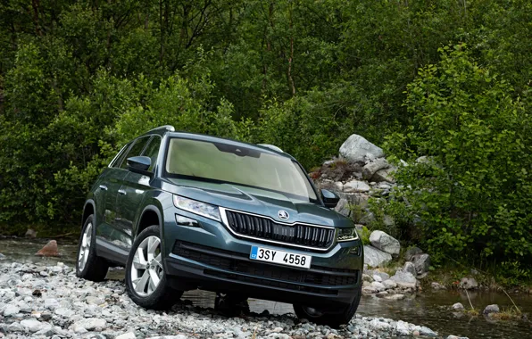 Вода, камни, кустарник, SUV, Škoda, Skoda, 2016, Kodiaq