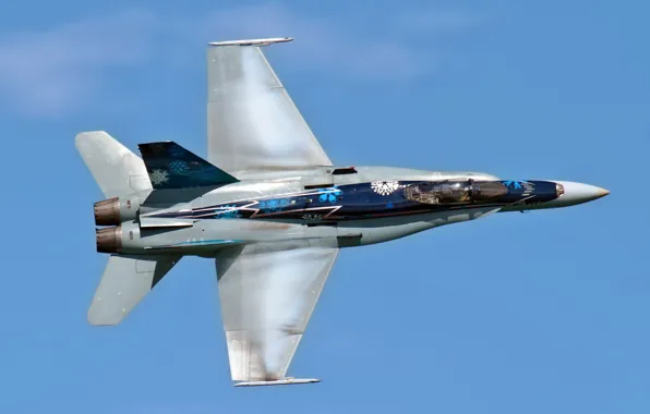 Авиация, самолёт, CF-18 Hornet