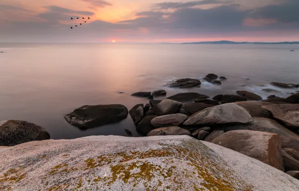 Море, небо, солнце, облака, птицы, камни, рассвет, берег