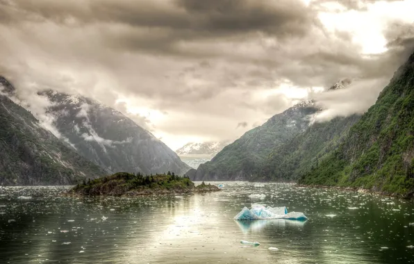 Картинка вода, горы, лёд, ели, Аляска, США, фьорд, Трейси-Арм