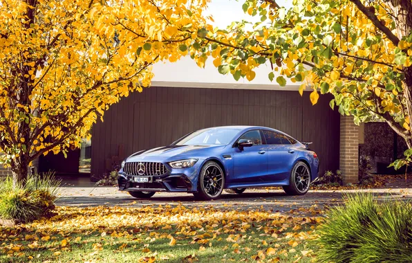 Картинка car, Mercedes-Benz, grass, trees, blue, leaves, blue cars, fall