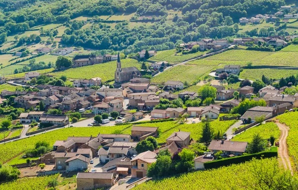 Картинка rock, landscape, wine, mark, mountain, village, plants, vegetable