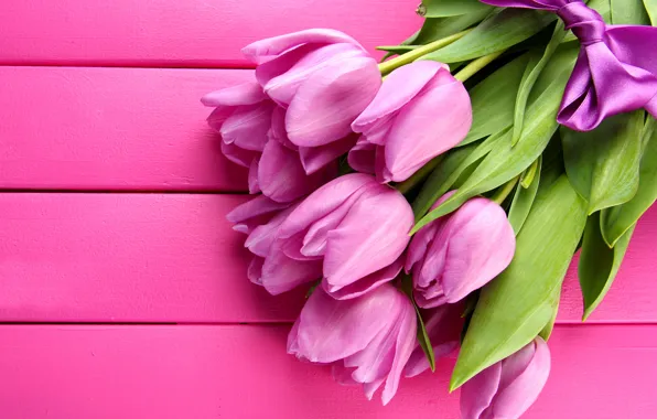 Тюльпаны, розовые, fresh, pink, flowers, beautiful, tulips, bow