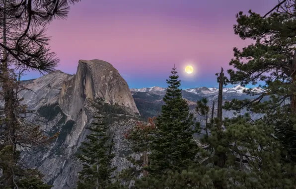 United States, California, Yosemite Valley