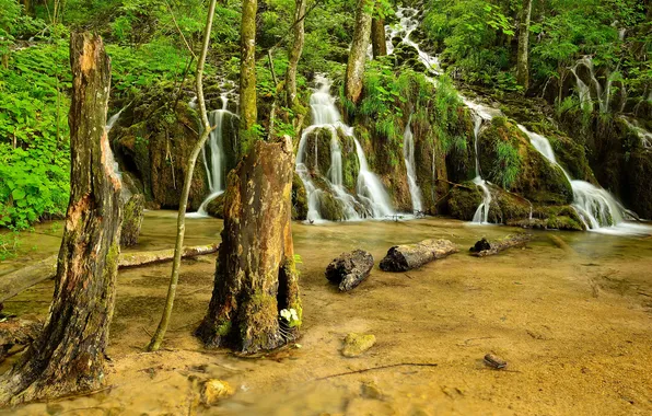 Картинка зелень, лес, деревья, озеро, водопад, мох, Хорватия, Plitvice Lakes