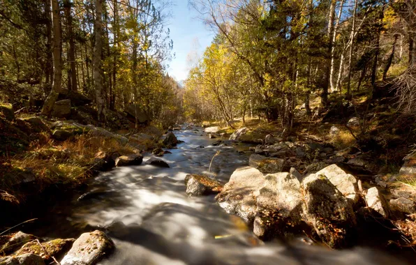 Осень, пейзаж, природа, река