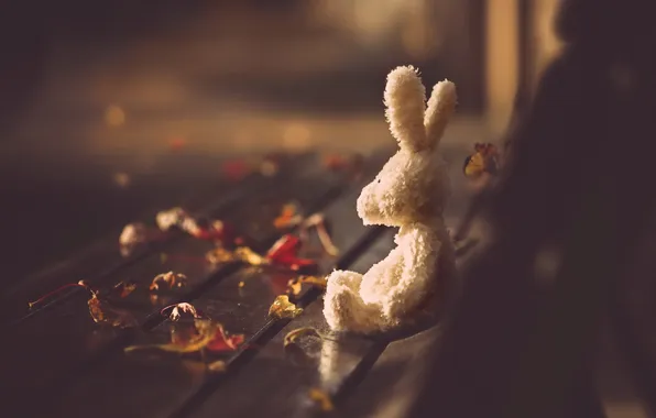 Картинка осень, листья, игрушка, скамья