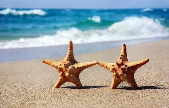 Песок, море, пляж, морская звезда, summer, beach, sea, sand