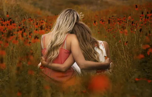 Картинка поле, цветы, девушки, Portrait in Orange