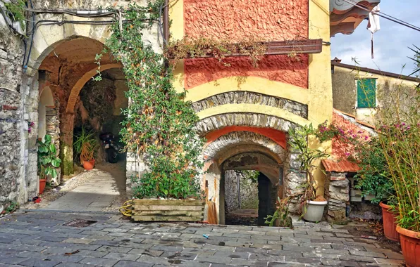 Цветы, дом, растения, Италия, арка, Веццано-Лигуре