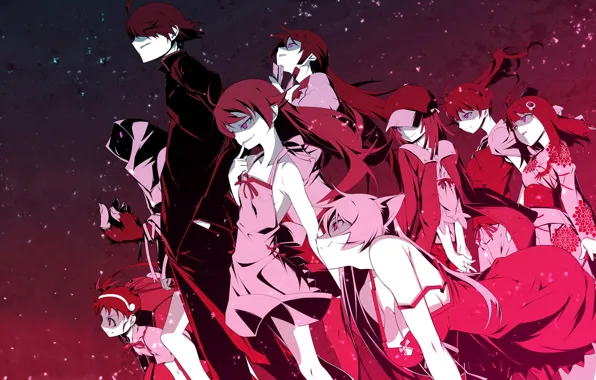 Anime, Bakemonogatari, Araragi Koyomi, Sengoku Nadeko, Hachikuji Mayoi, Senjougahara Hitagi, Araragi Tsukihi., Oshino Shinobu