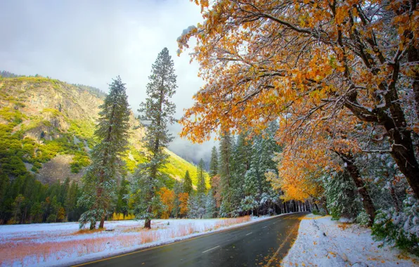 Картинка дорога, осень, снег, природа