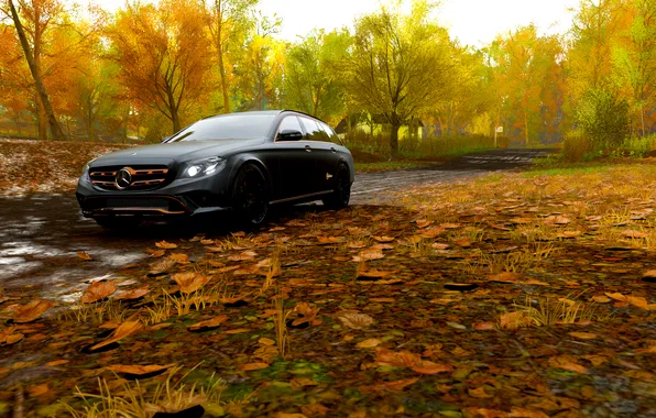 Картинка car, Mercedes-Benz, black cars, vehicle, video games, Forza Horizon 4, Mercedes Benz 350 D, 350 …