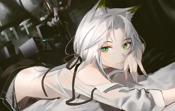Девушка, комната, ушки, Arknights, Kaltsit