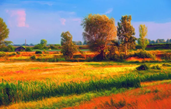 Поле, трава, облака, деревья, дом