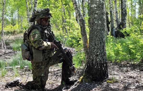 Картинка оружие, солдат, Estonian Defence Forces