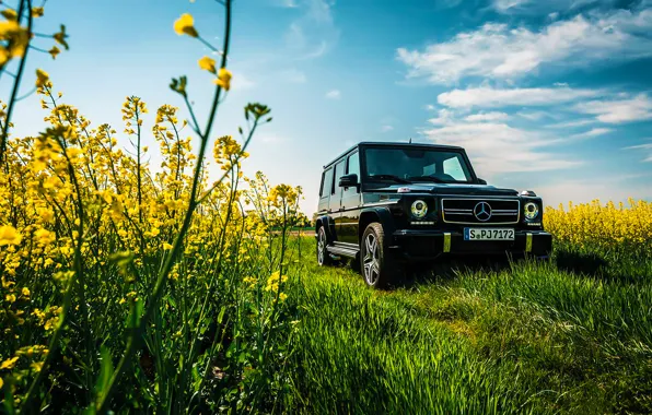 Картинка Mercedes-Benz, Car, Sky, Grass, Front, Flowers, AMG, Black