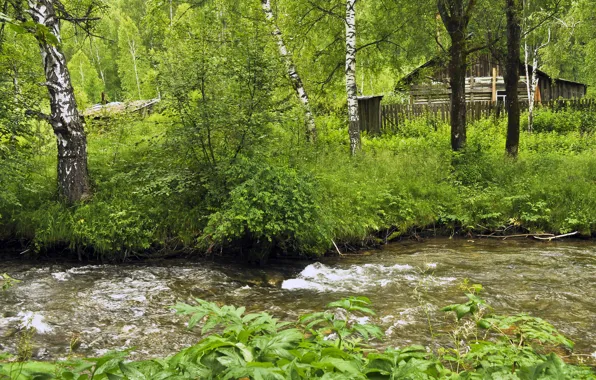 Картинка Зелень, Природа, Трава, Лес, Nature, Grass, Речка, River