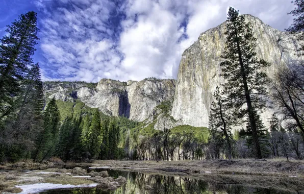 Картинка лес, деревья, горы, река, Калифорния, США, Yosemite National Park