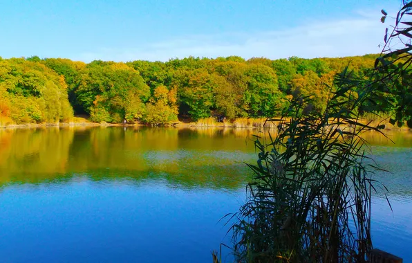 Картинка осень, озеро, Природа, красота, крым, отдых.