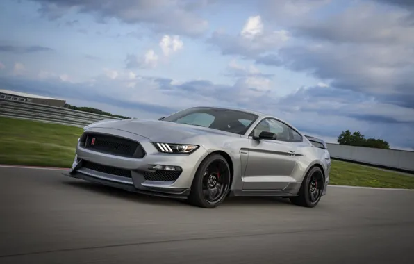 Серый, движение, Mustang, Ford, Shelby, GT350R, 2020