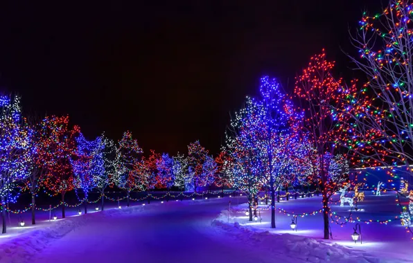 Картинка зима, дорога, снег, деревья, ночь, город, парк, праздник