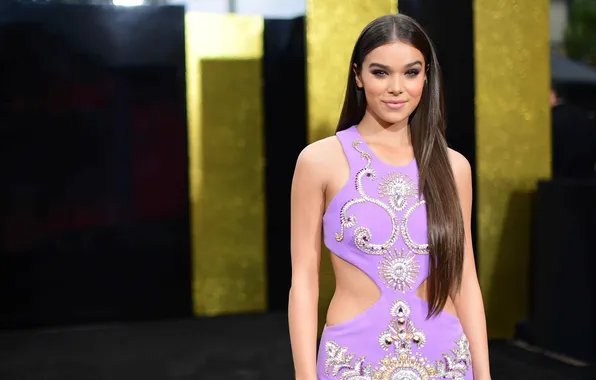 Портрет, макияж, фигура, платье, прическа, шатенка, красотка, Hailee Steinfeld