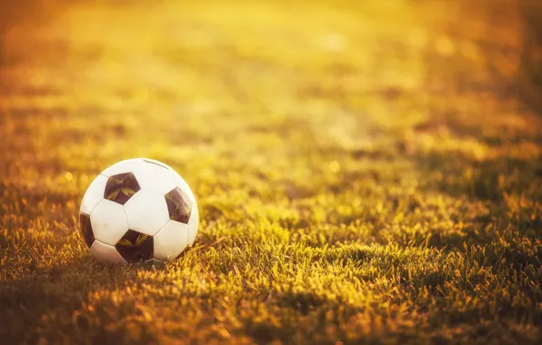 Картинка трава, спорт, мяч