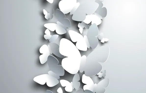 Картинка бабочки, рендеринг, фон, белые