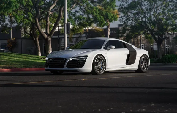 Audi, wheels, v10, HRE, lower, on, r8