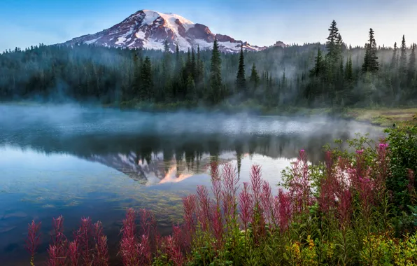 Картинка деревья, пейзаж, горы, природа, туман, озеро, США, травы