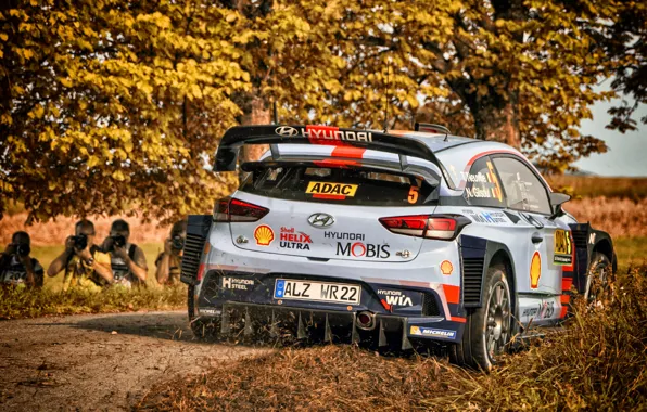 Авто, Спорт, Машина, Гонка, Hyundai, Автомобиль, WRC, Rally