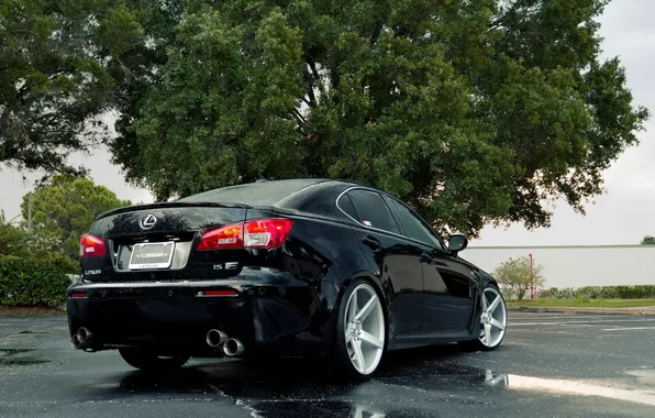 Картинка black, auto, Vossen Wheels, Lexus LS IS on Vossen