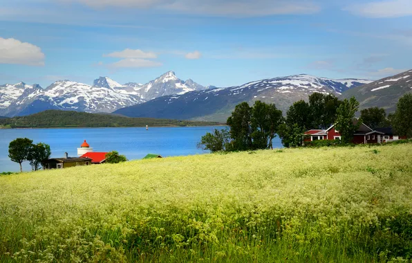 Картинка поле, трава, деревья, горы, озеро, Норвегия, домики