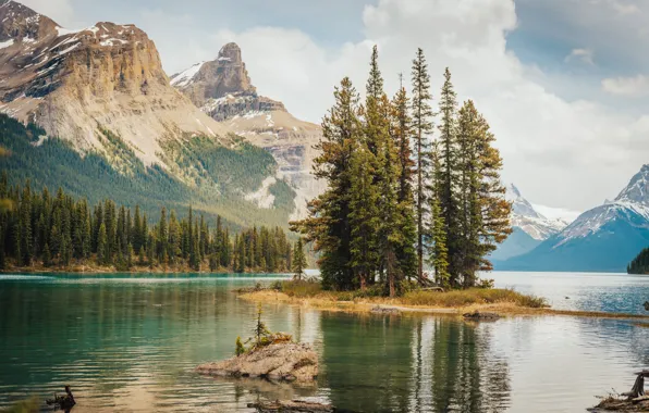 Картинка Горы, Озеро, Деревья, Канада, Canada, Jasper National Park, Национальный парк Джаспер, Maligne Lake