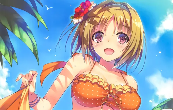 Цветок, лето, девушка, Youkoso Jitsuryoku Shijou Shugi no Kyoushitsu e, Добро Пожаловать В Класс Элиты