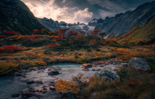 Осень, деревья, горы, ручей, камни, берег, речка, Анды